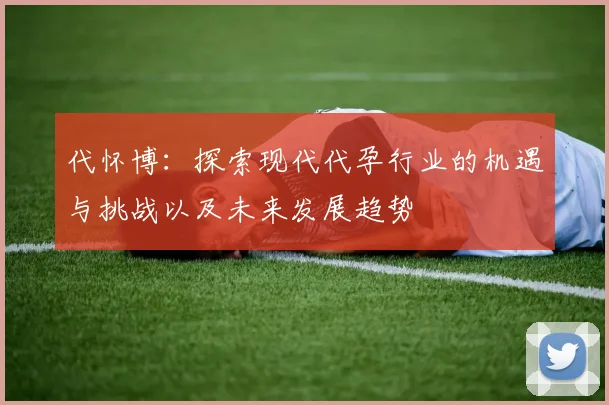 代怀博：探索现代代孕行业的机遇与挑战以及未来发展趋势